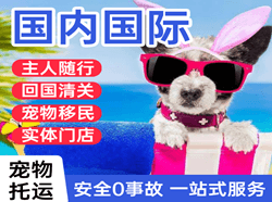 佛山机场货运国际宠物托运 【国